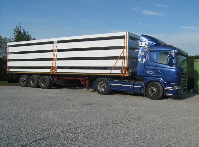 Marcato Trasporti Srl - Gallery