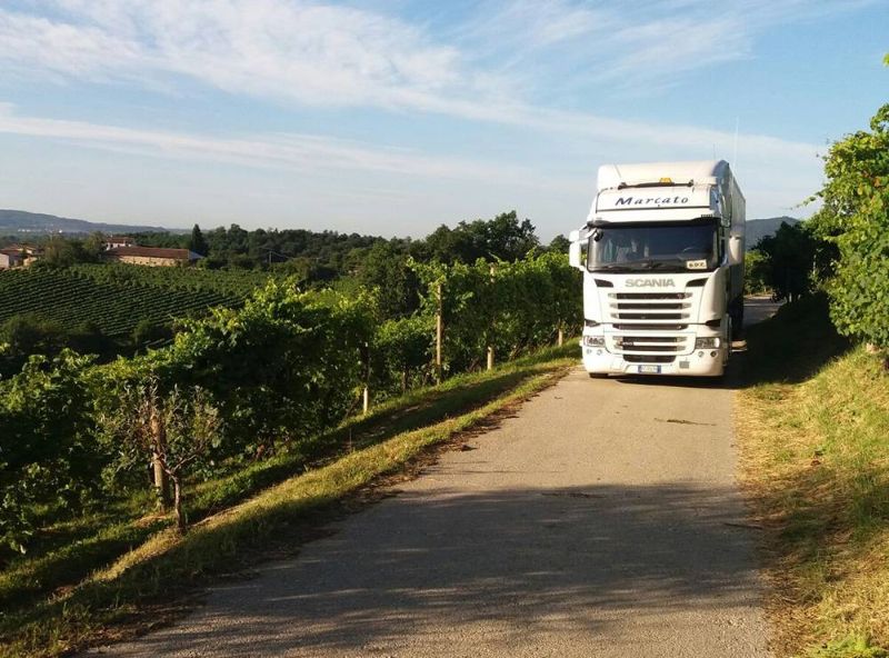 Marcato Trasporti Srl - Gallery